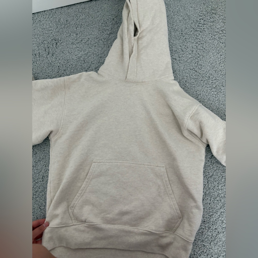 Aritzia hoodie